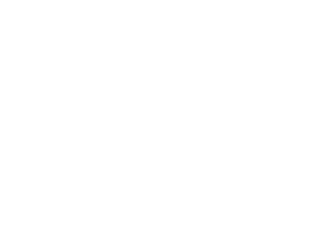 COPS BAND